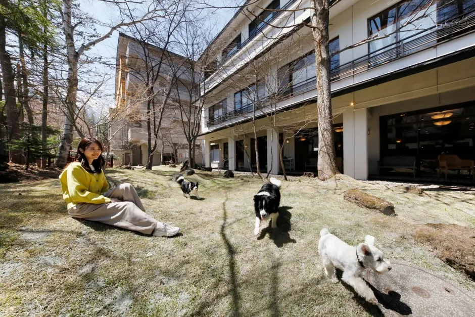 庭でくつろぐ女性と犬たち