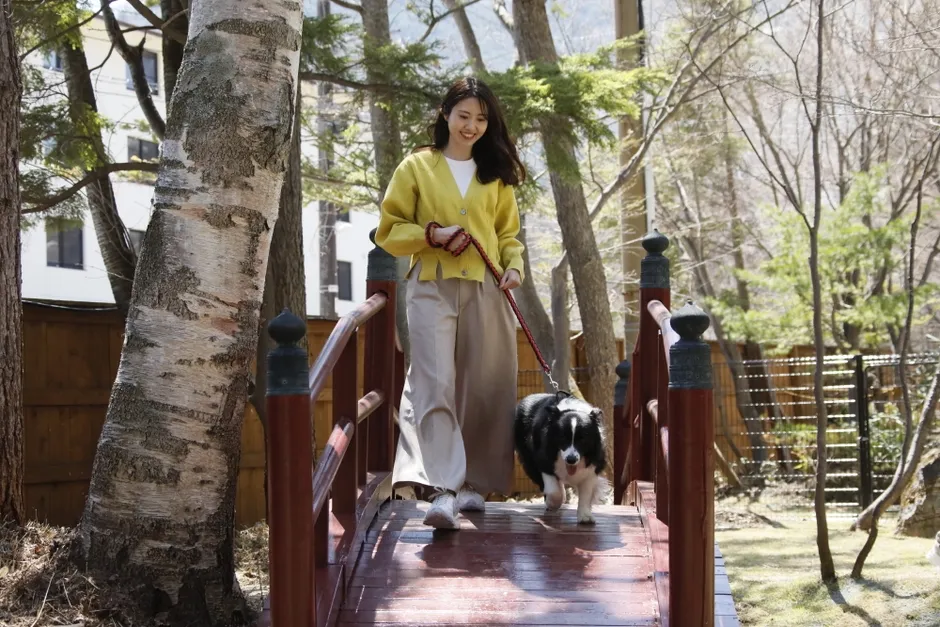 女性と犬が橋の上を歩く様子