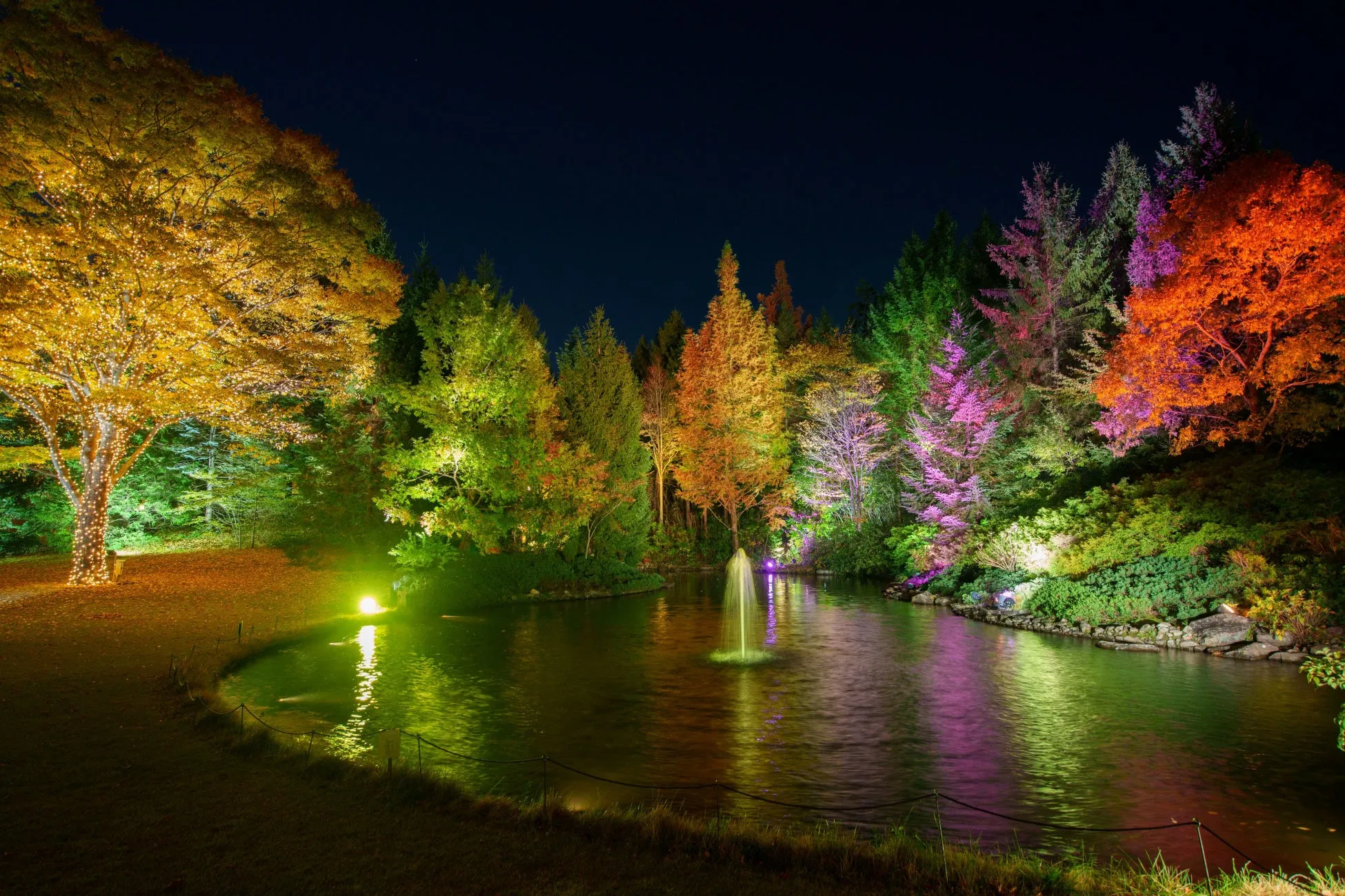 夜の庭園のライトアップ
