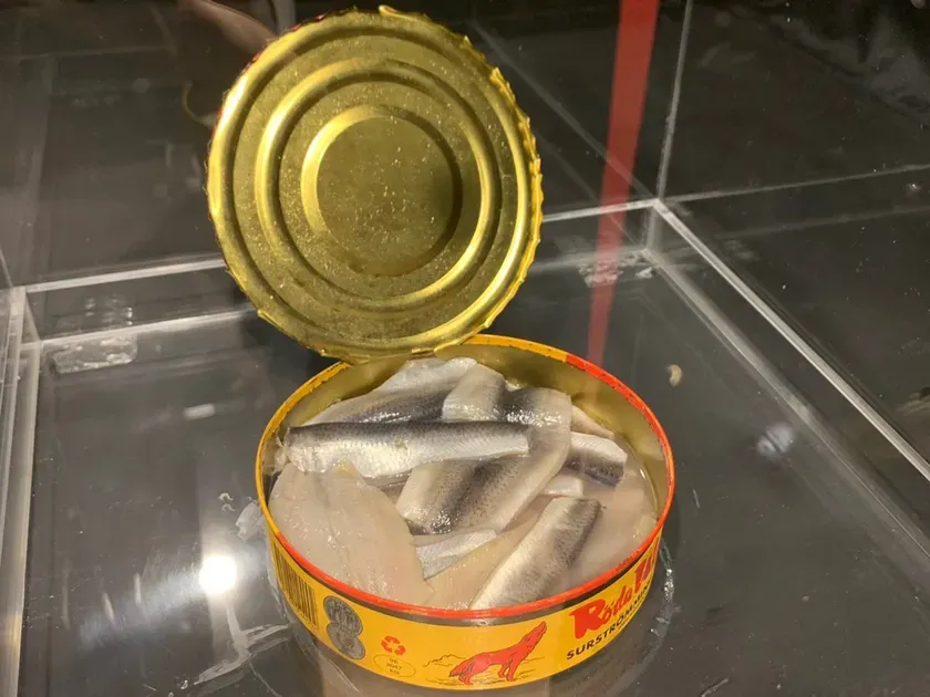 缶詰に入ったニシンの切り身のクローズアップ写真。缶詰は開いており、ニシンが液体に浸かっている。