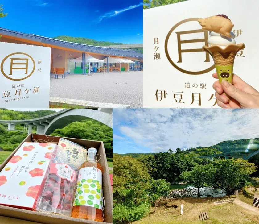 道の駅伊豆月ヶ瀬の風景とお土産