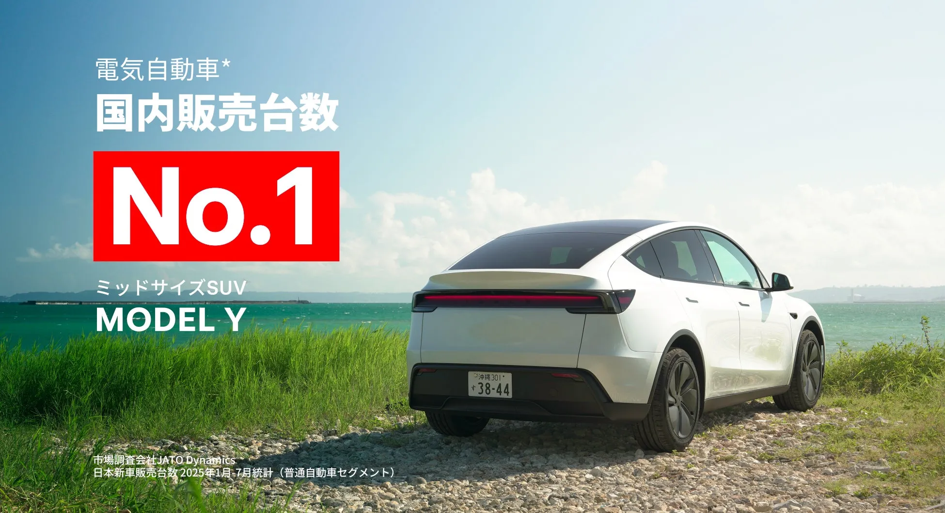 テスラ モデルYの画像。白い車が草地を走り、海が見える。