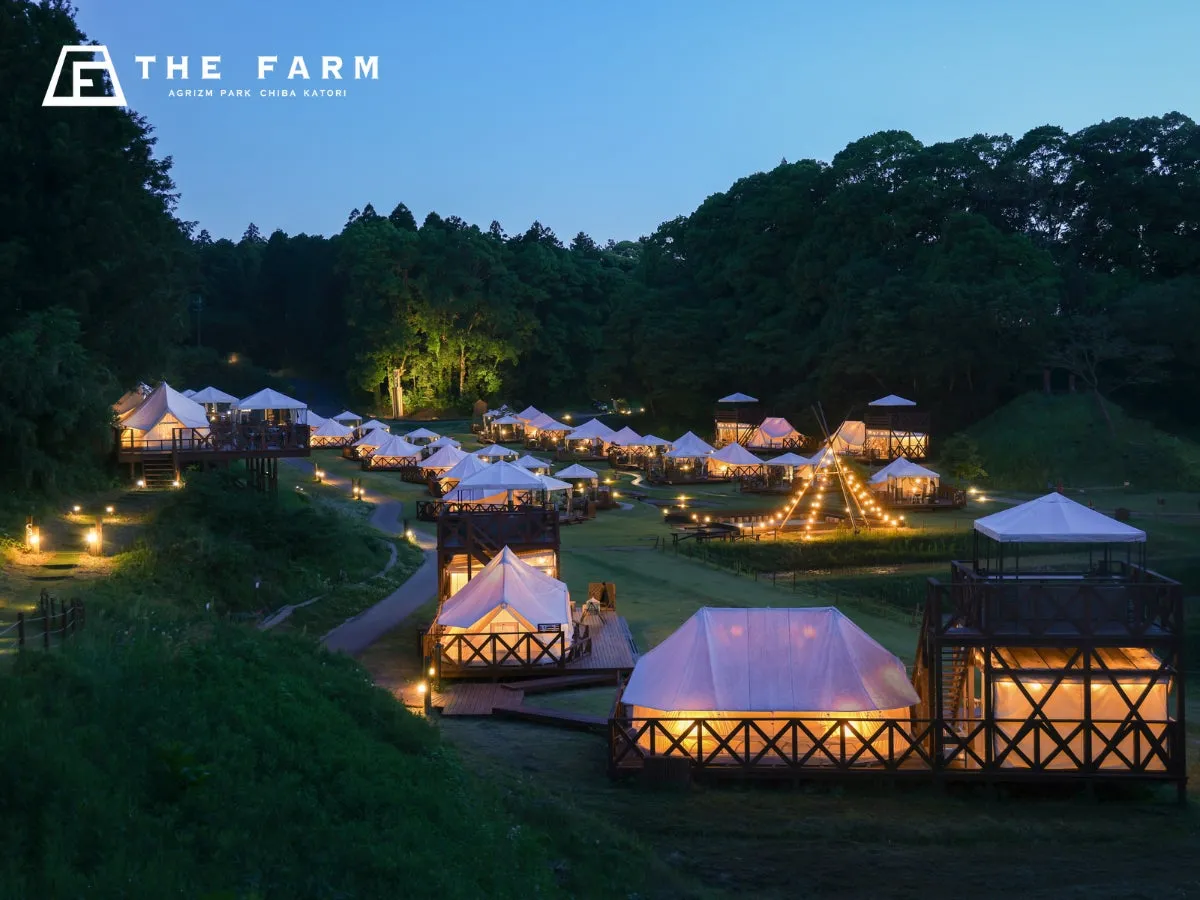 夜のキャンプ場の風景。多くのテントがライトアップされ、木々に囲まれた幻想的な雰囲気を醸し出しています。