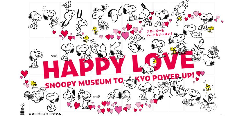 LL img 564050 1 7T6rcI