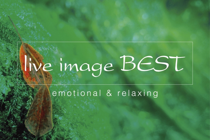 WR5W1BlAXy3YZDK64Oa8