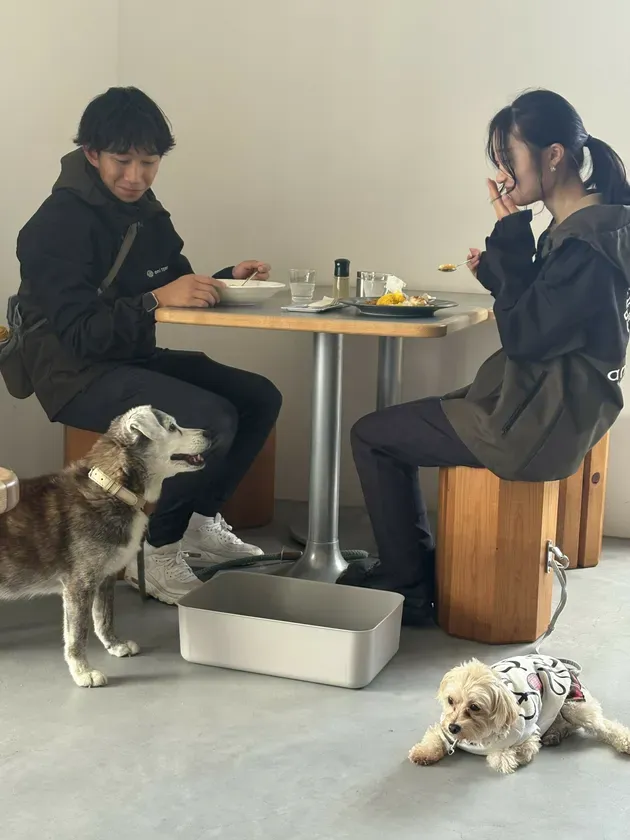 カフェで食事をする人々と犬