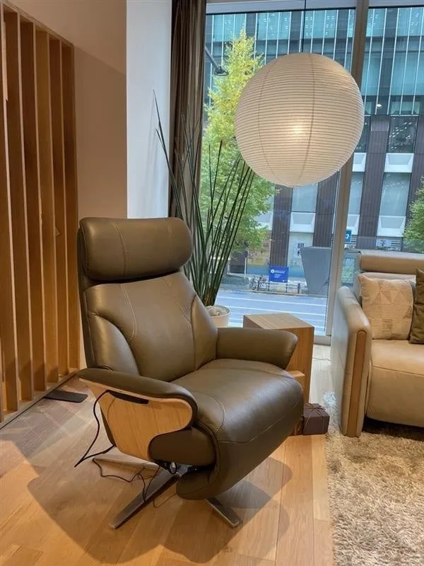 革張りのリクライニングチェアと、丸い照明、窓の外の景色が写っている写真です。