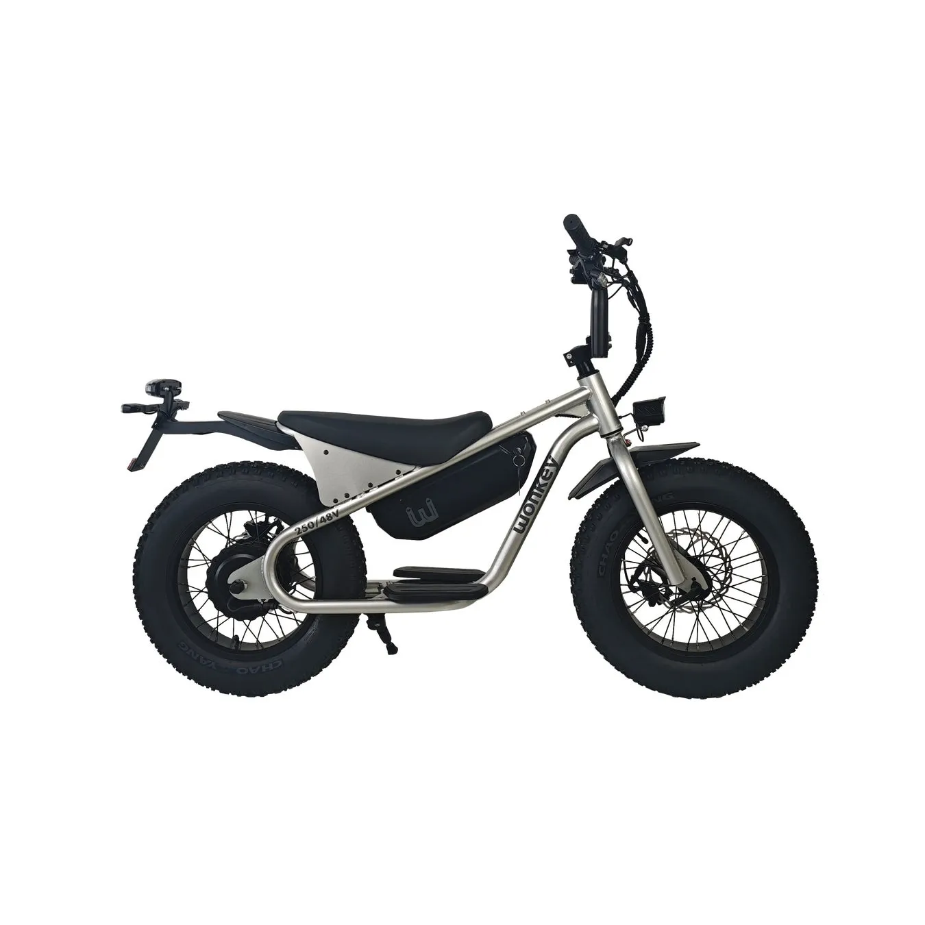 シルバーのフレームと太いタイヤが特徴的な電動アシスト自転車です。