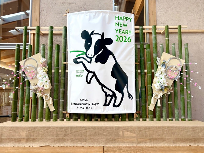 oCPvHyHYmpMKgRdk7QB0 ggmKJi