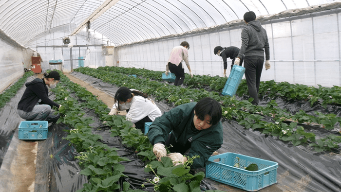 28V0FG3HCJZGPMmLawB9 ELeMr8