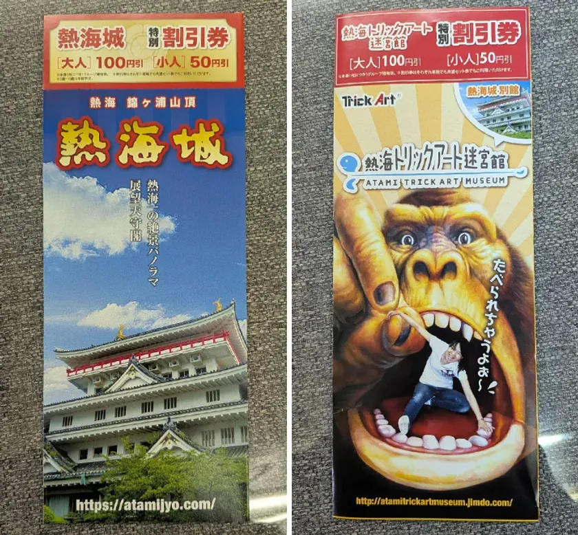 入場割引券付きパンフレット