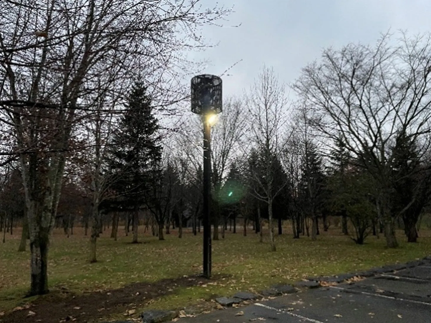 公園の風景写真。中央に街灯があり、周囲には木々が立ち並んでいます。空は曇り、落ち葉が地面に散らばっています。
