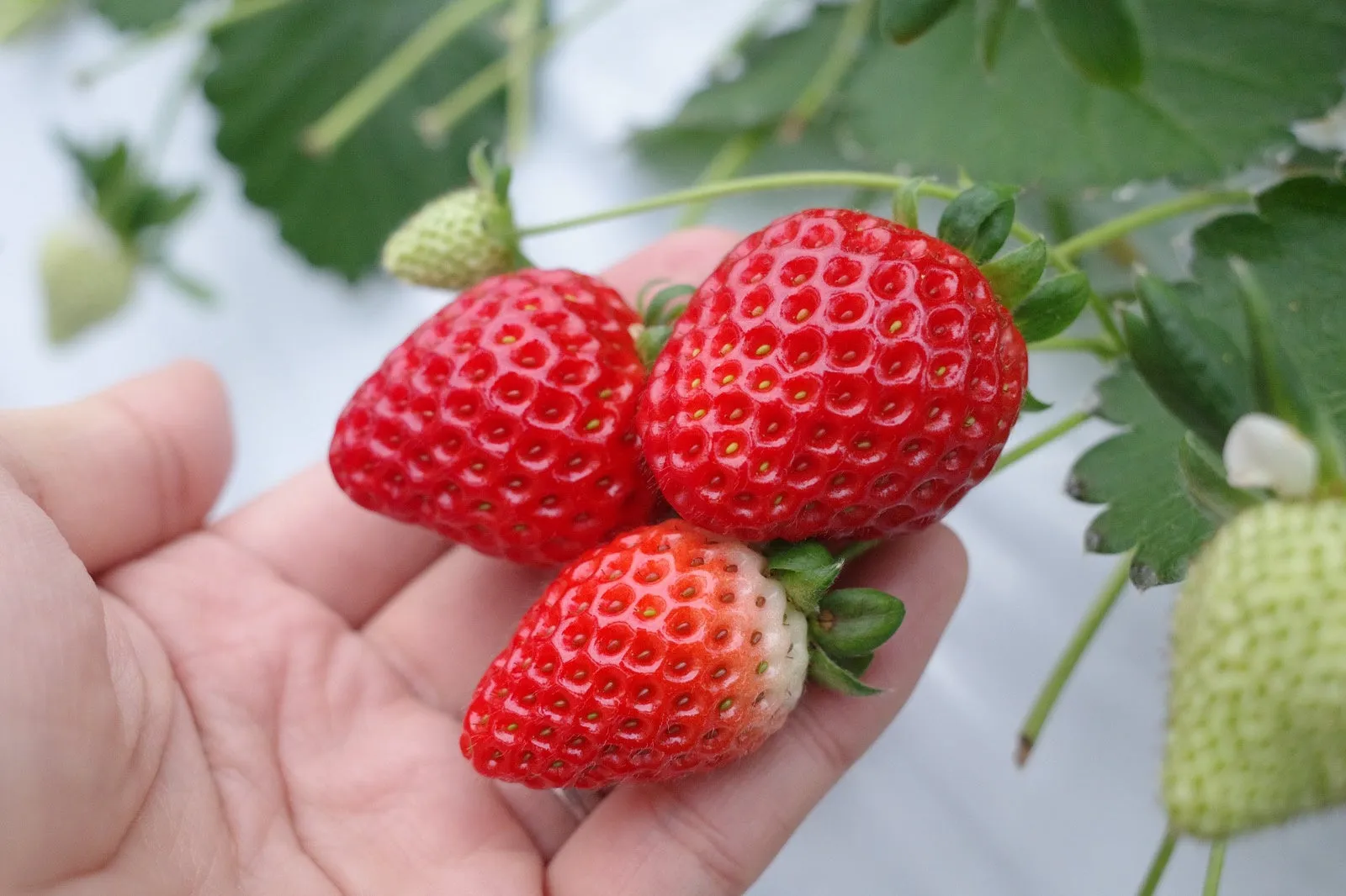 87770bf6 06d0 4aac 878d aee576e3fe0c