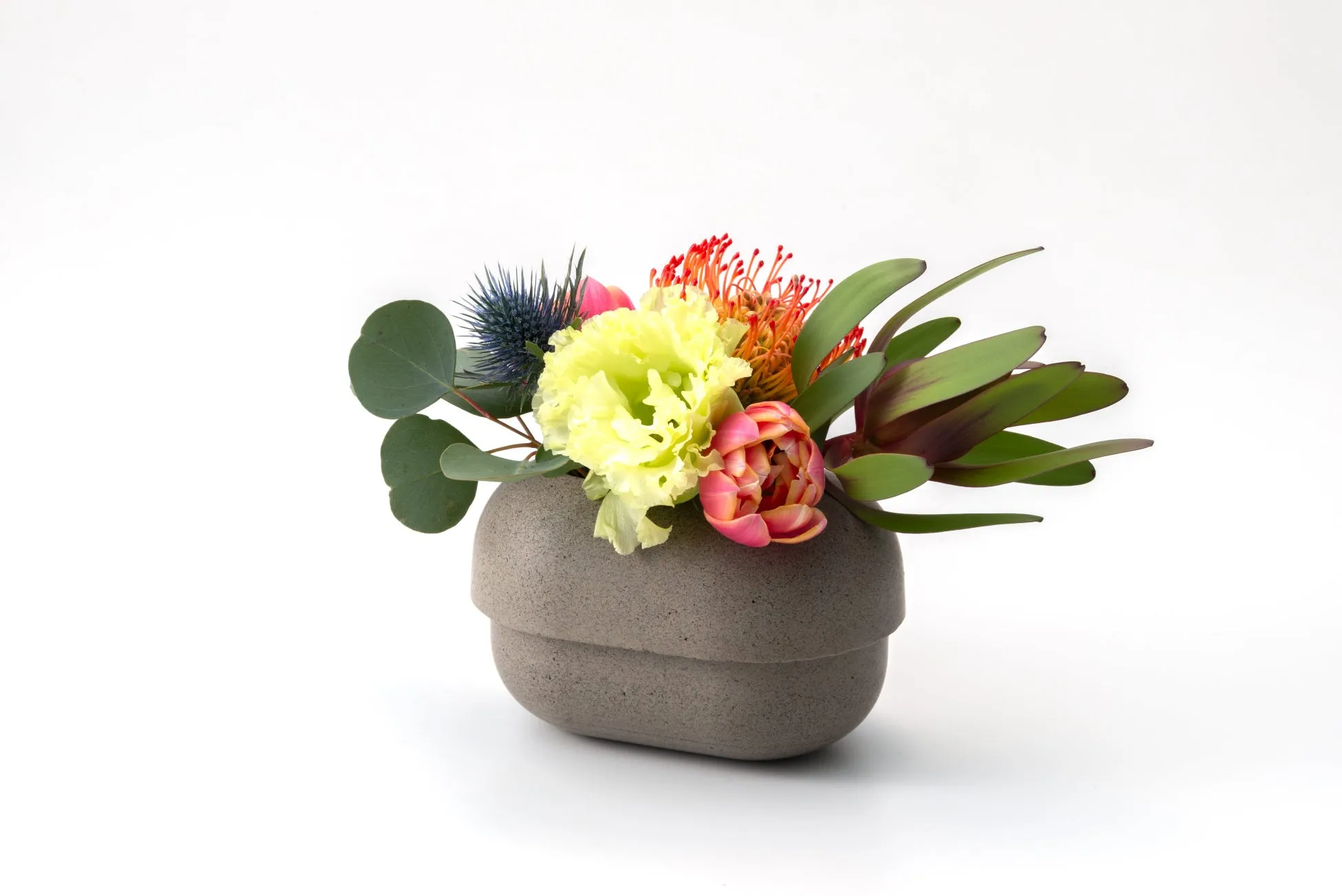 白い背景に植木鉢に入った様々な色の花々