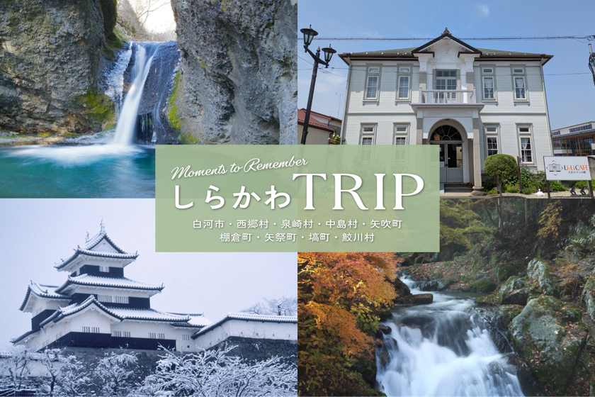 LL img 564981 1 p07sDP