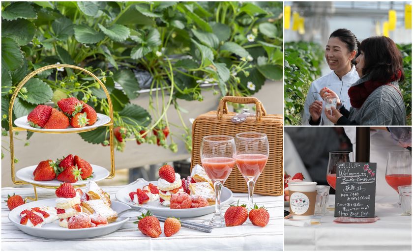 LL img 567636 1 nZzAdl