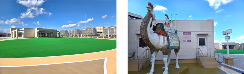 LL img 567725 1 GDVa6h