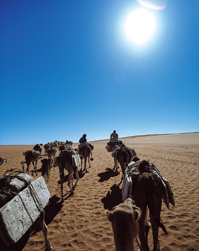 LL img 568537 1 KBhNZg