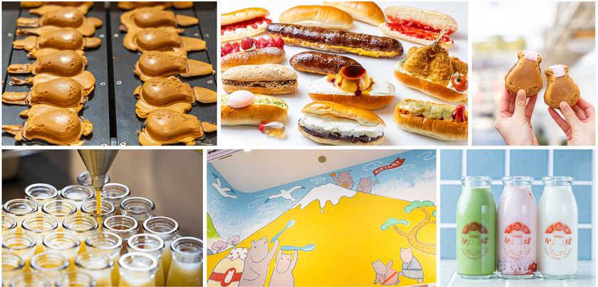 LL img 569113 1 CVbesh