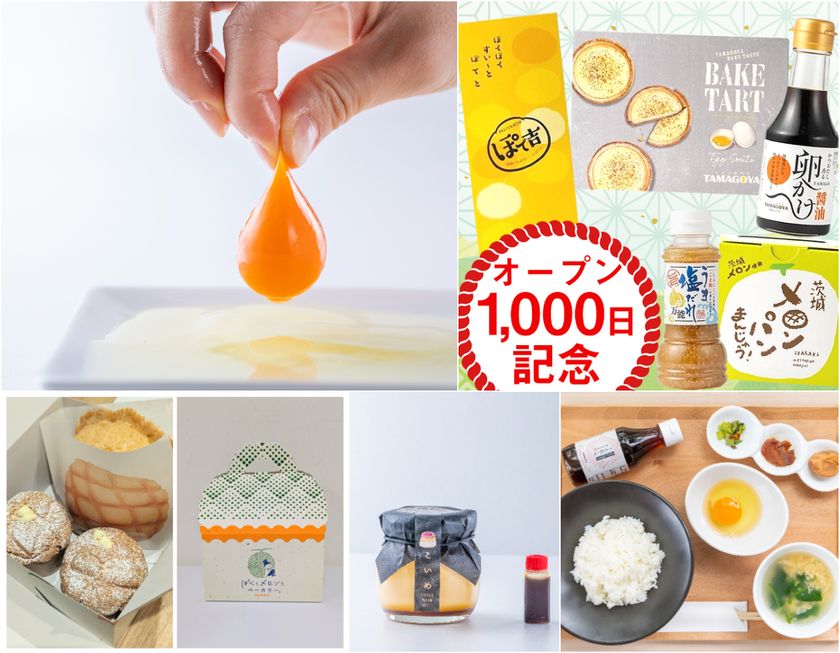 LL img 569793 1 steXYI