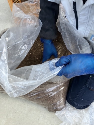 XMl3gRgtpe955HprhdEQ