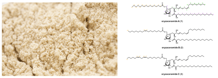 avsbdKuQ7FMB1tYqs4Tl