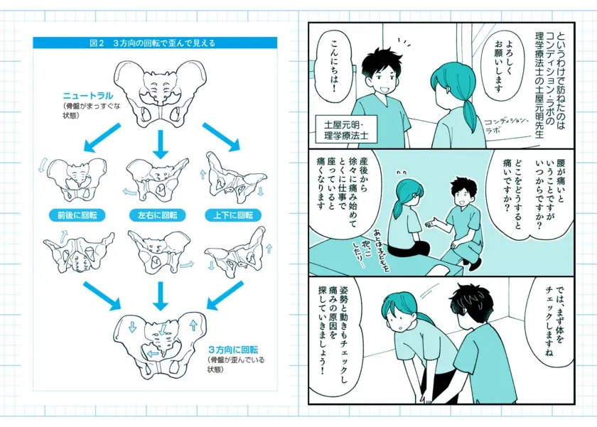 骨盤の「回転(回旋)」という動きに着目