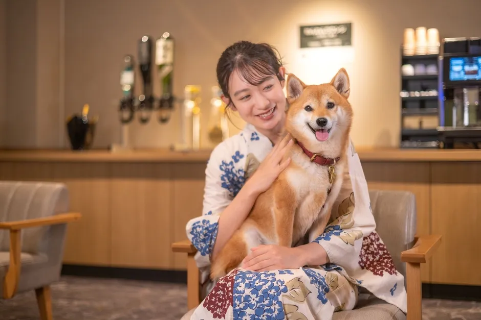 柴犬を抱っこする女性