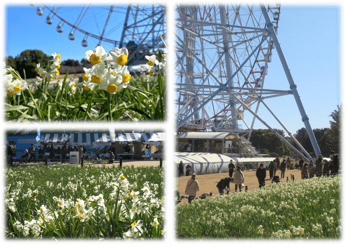 kMrLiW4LSZb5J1goP2Wt R90G4S