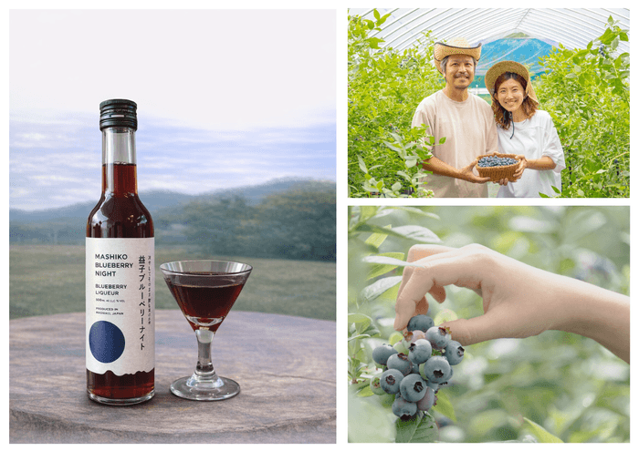 oAd25XxyKcE8xJz0VdVb YS1MRU