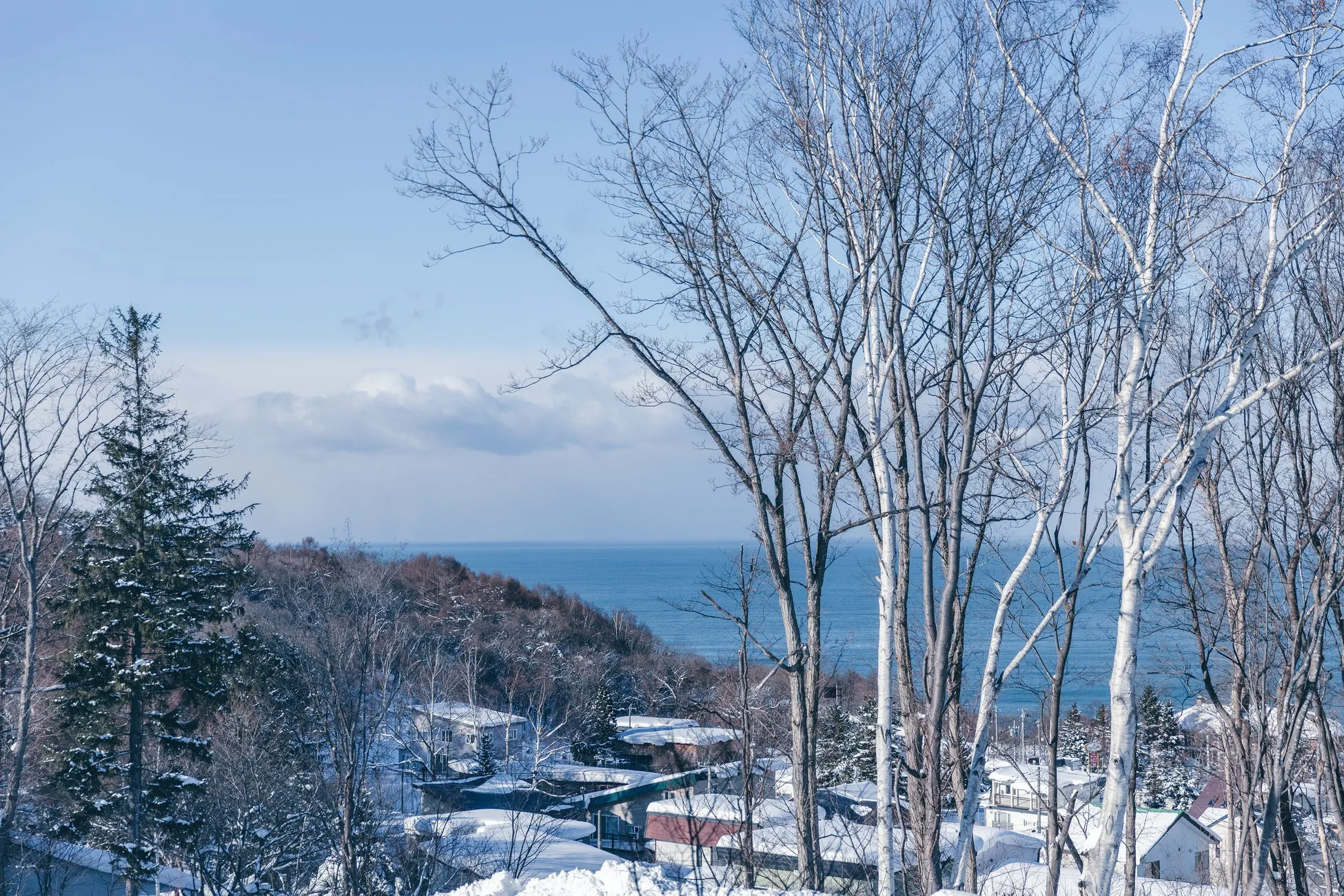 雪に覆われた家々や木々が広がる冬の景色です。針葉樹と葉を落とした木々が混在し、遠くには青い海が穏やかに広がっています。冬の日の静かで美しい自然の風景です。