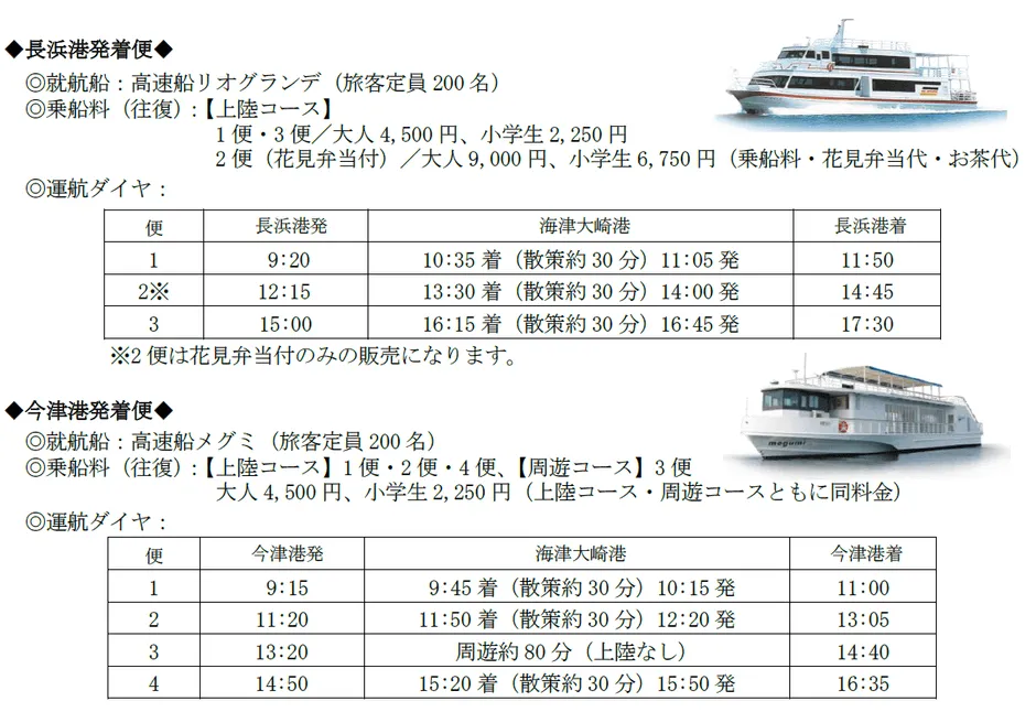 クルーズのコースや料金