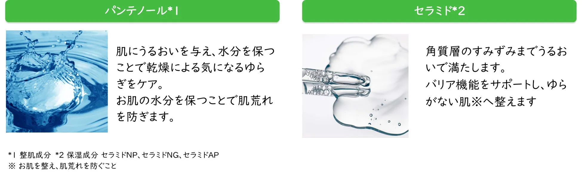 パンテノール・セラミド説明