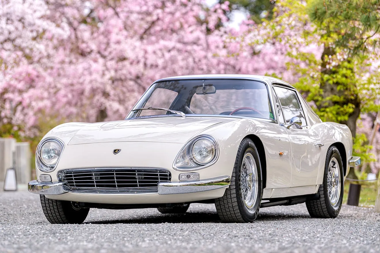 白いランボルギーニの車が、桜の木の下に駐車している写真です。