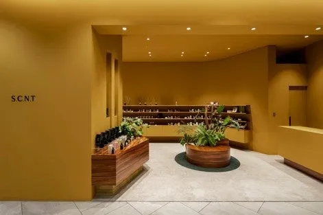 S.C.N.Tの店内は黄色を基調とした洗練された空間