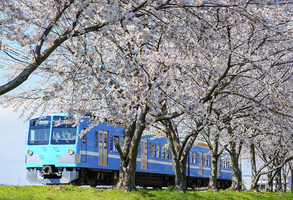 画像提供:近江鉄道株式会社
