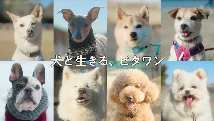 様々な犬の顔がコラージュされた画像と「愛犬へのひと言」編の動画サムネイル