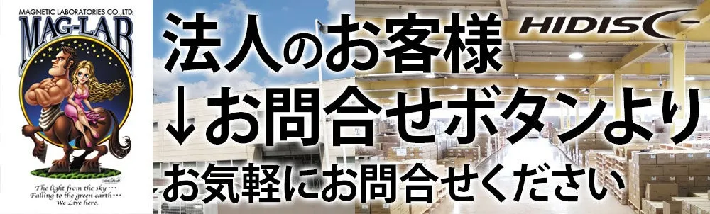 フラッシュストアロゴ