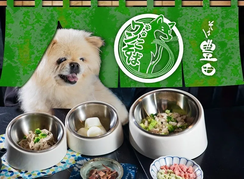 犬と人間がテラスで食事