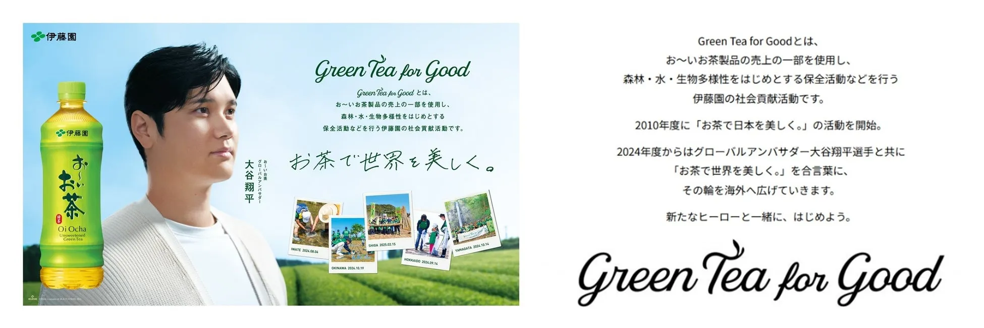 「Green Tea for Good」の活動風景