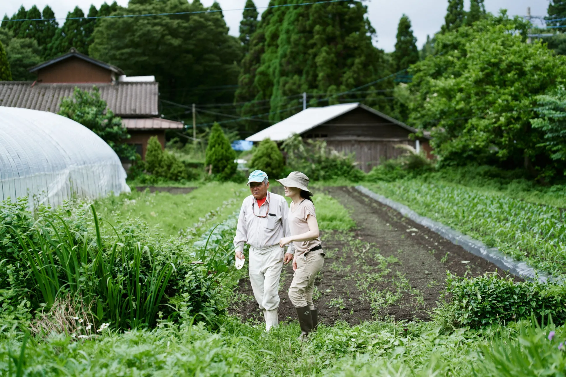 阿蘇の草原に置かれたカップ