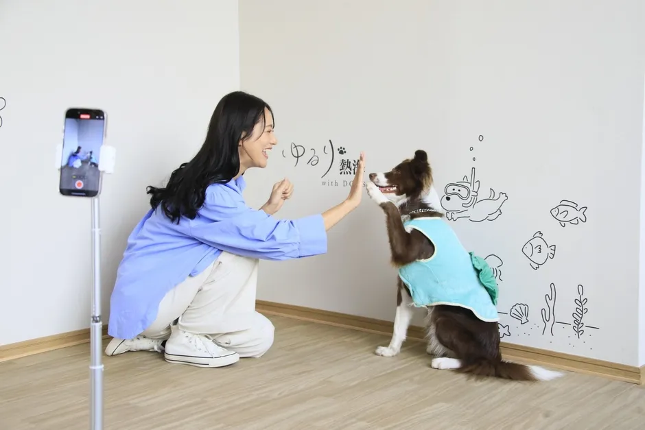 愛犬と泊まれる
