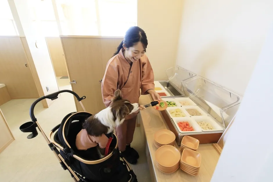 愛犬用食事