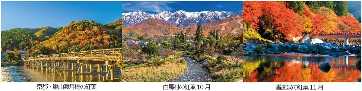 旅のイメージ