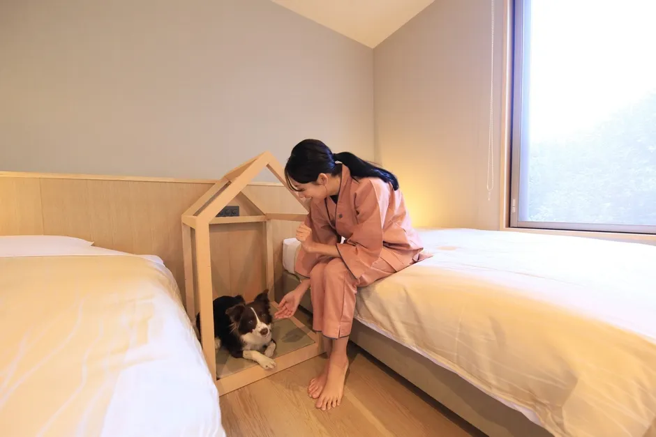 客室イメージ