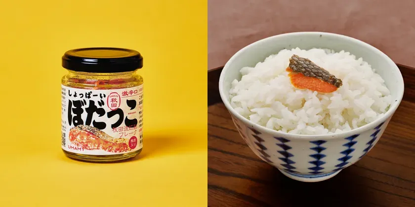 ノリットジャポン しょっぱーいぼだっこ