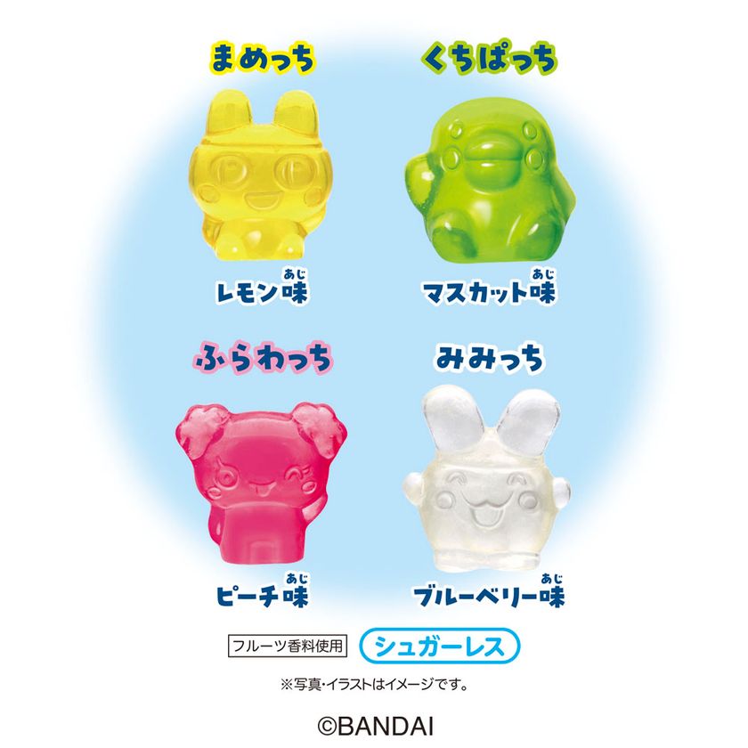 画像7
