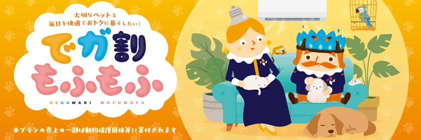画像11