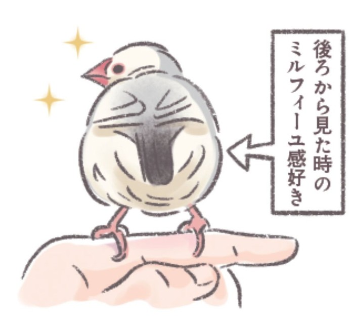 癒やされる後ろ姿