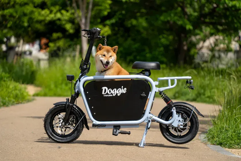 Doggie_Liteに乗る犬と飼い主